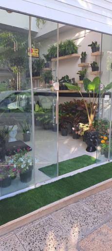 عکس فروشگاه گل و گیاه بامبو
