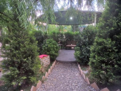 عکس رستوران کافه زیتون