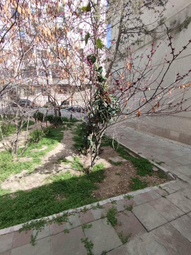 عکس بوستان شهید حمیدرضا نظام