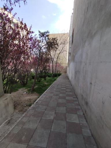 عکس بوستان شهید حمیدرضا نظام