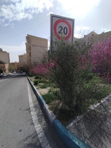 عکس بوستان شهید حمیدرضا نظام