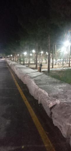 عکس پارک جنگلی صاحب‌ الزمان (عج)