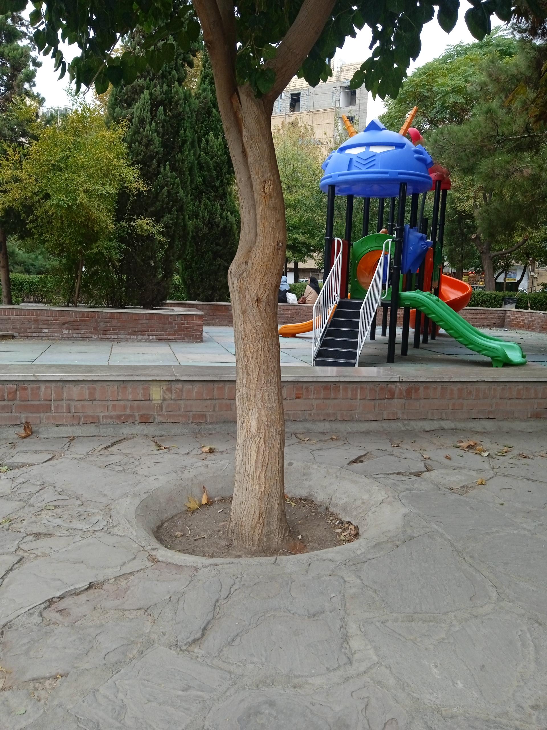 عکس پارک گل نرگس