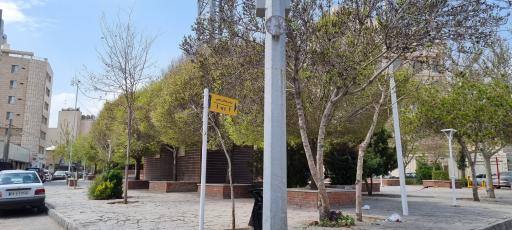 عکس پارک گل نرگس