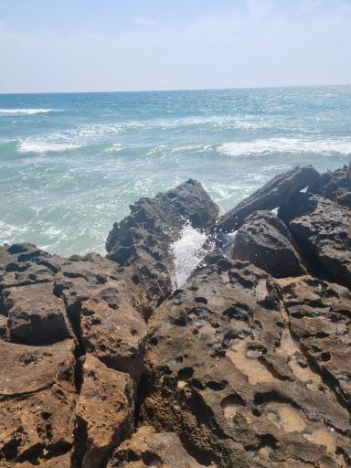 عکس پارک ساحلی سوزا