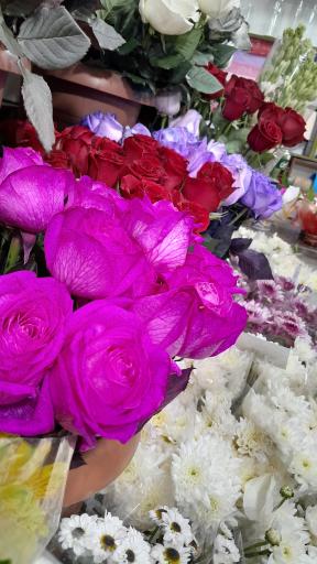 عکس گل فروشی مرسی