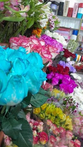 عکس گل فروشی مرسی