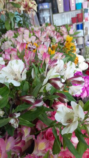 عکس گل فروشی مرسی