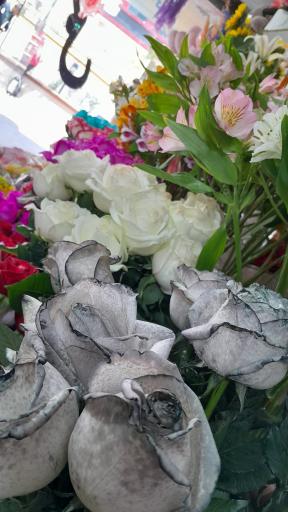 عکس گل فروشی مرسی