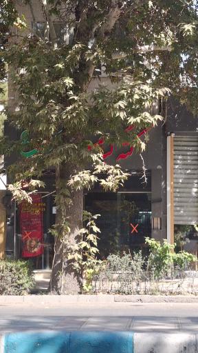 عکس کته کبابی پونه