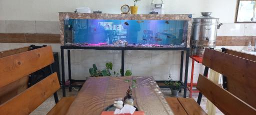 عکس چلوکبابی کاکل