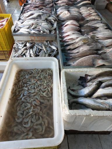 عکس بازار ماهی فروش های مشهد