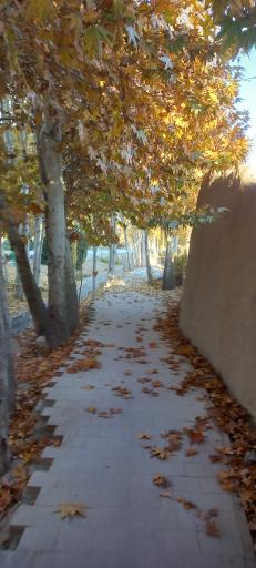 عکس بوستان میرزاطاهر