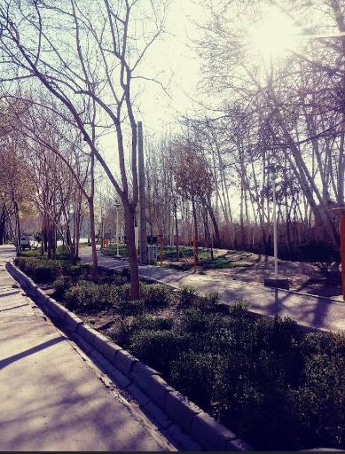 عکس بوستان میرزاطاهر