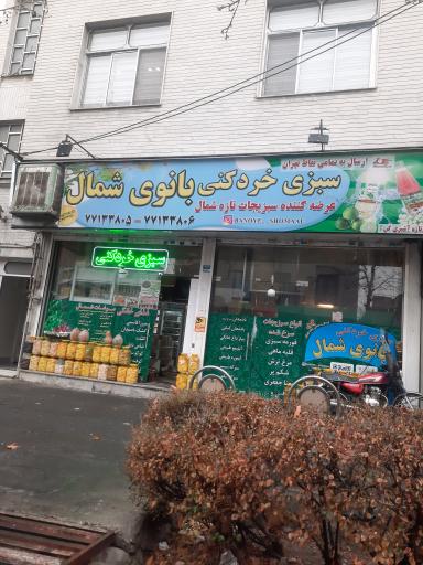 سبزی خردکنی بانوی شمال 