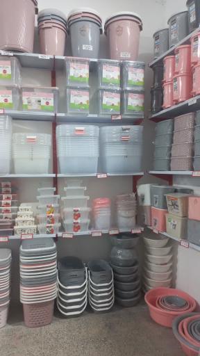 پلاسکو مسیح 