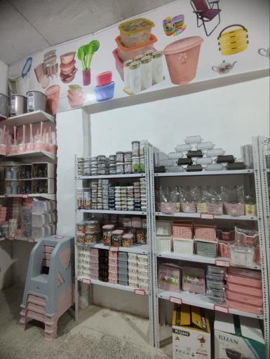 عکس پلاسکو مسیح 