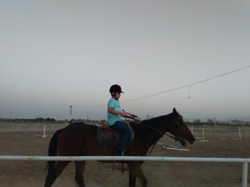 عکس باشگاه سوارکاری راد