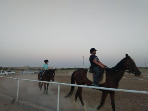 عکس باشگاه سوارکاری راد