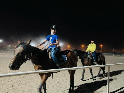 عکس باشگاه سوارکاری راد