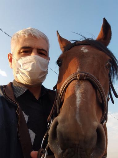 عکس باشگاه سوارکاری راد