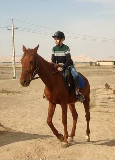 عکس باشگاه سوارکاری راد