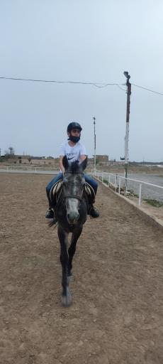 عکس باشگاه سوارکاری راد