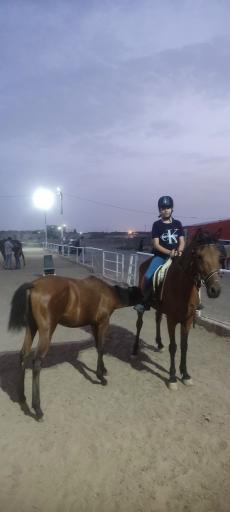 عکس باشگاه سوارکاری راد