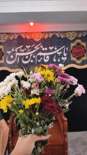 عکس قاسمیه امام حسن کریم اهل بیت