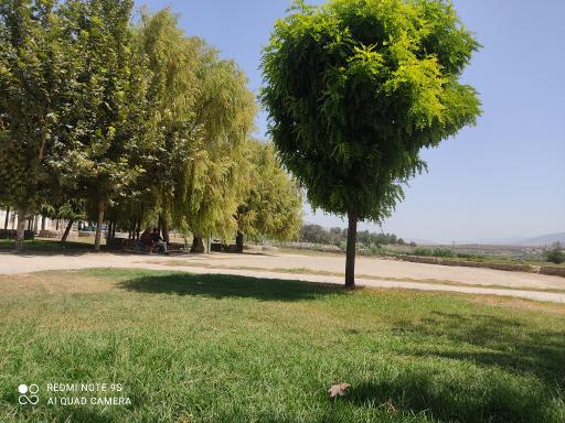 عکس پارک ساحلی