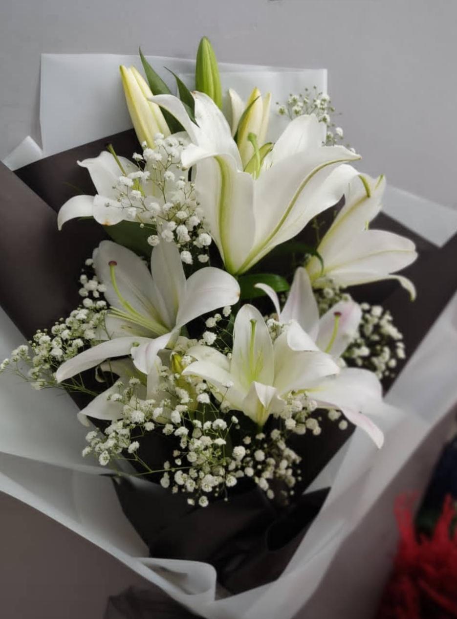 عکس گالری گل لیانا 