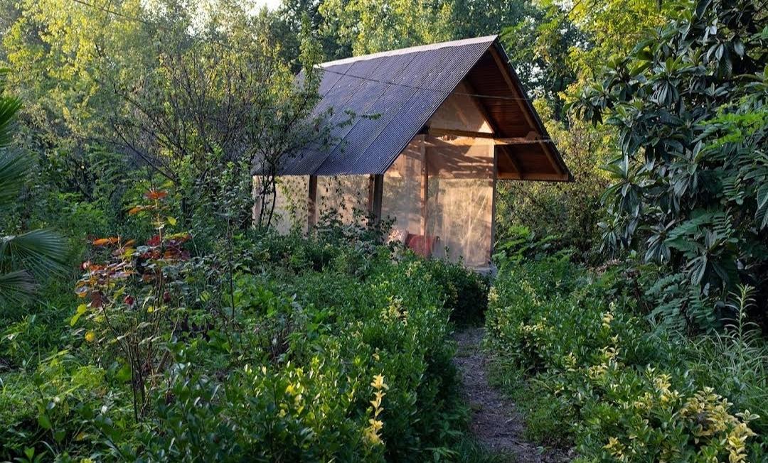 عکس اقامتگاه داربن