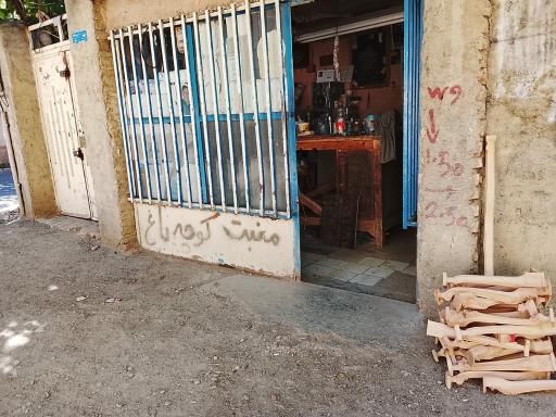 عکس منبت کاری چوب