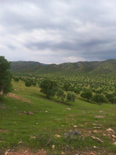 عکس کوهدشت