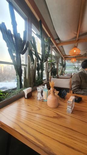 عکس کافه رستوران آولی