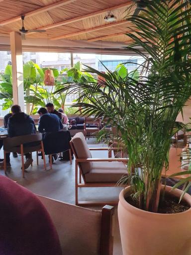 عکس کافه رستوران آولی