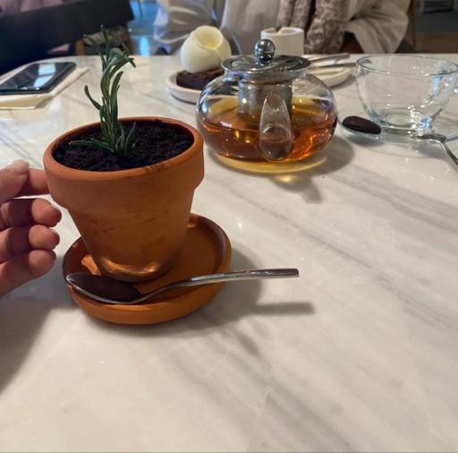 عکس کافه رستوران آولی