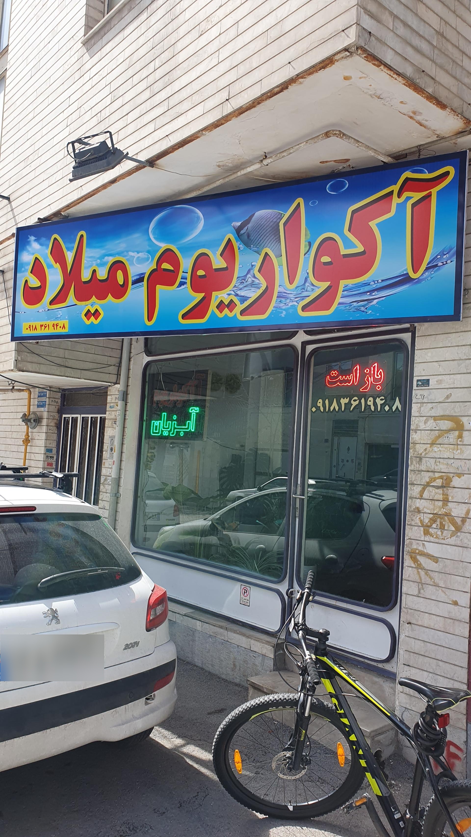 عکس آکواریوم میلاد