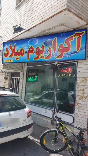 عکس آکواریوم میلاد