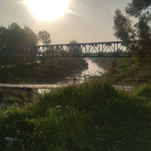 عکس پل چوبی روستای شریف آباد