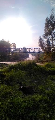 عکس پل چوبی روستای شریف آباد