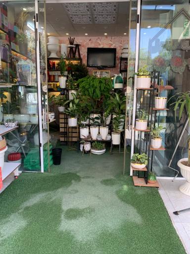 عکس گل فروشی خانه سبز