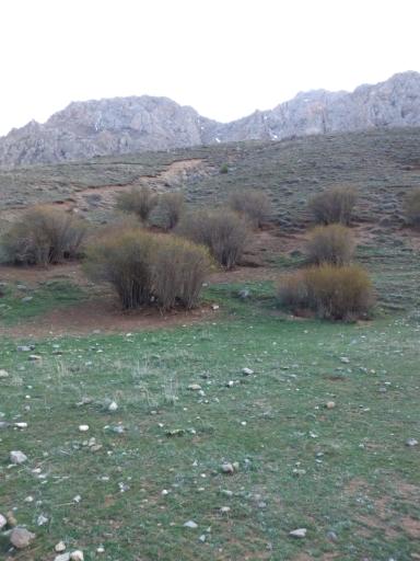 عکس دره  باغچه جوق