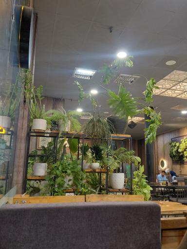 عکس باربیکیو مزه
