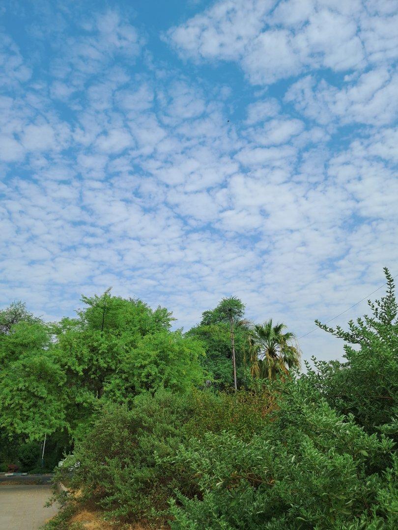 عکس پارک