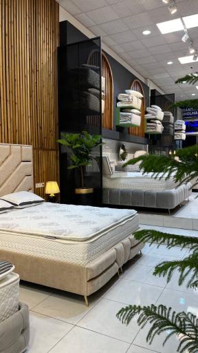 عکس تشک سالویا