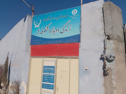 عکس کمپ ترک اعتیاد رهایی شکوفه