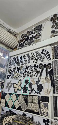 عکس خرازی حبیبی