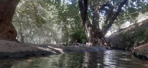 عکس آبشار سراب گیان