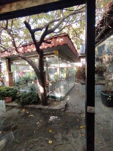 عکس مجموعه غذایی یادبود